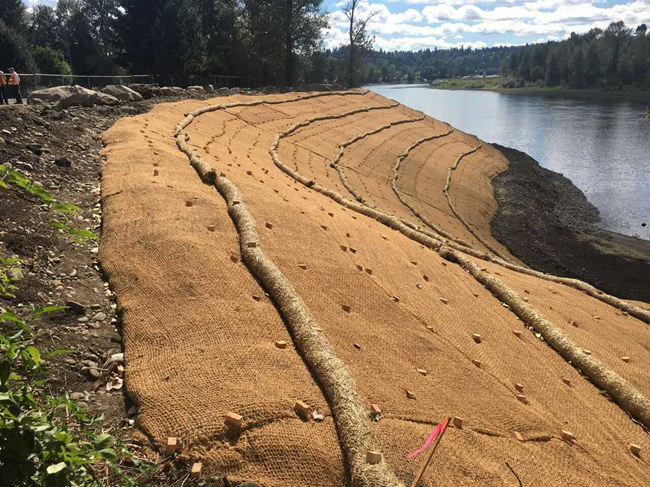 �c���鿴Ԕ����Ϣ���}��ֲ��̺ʩ�� ��x�Δ���1980